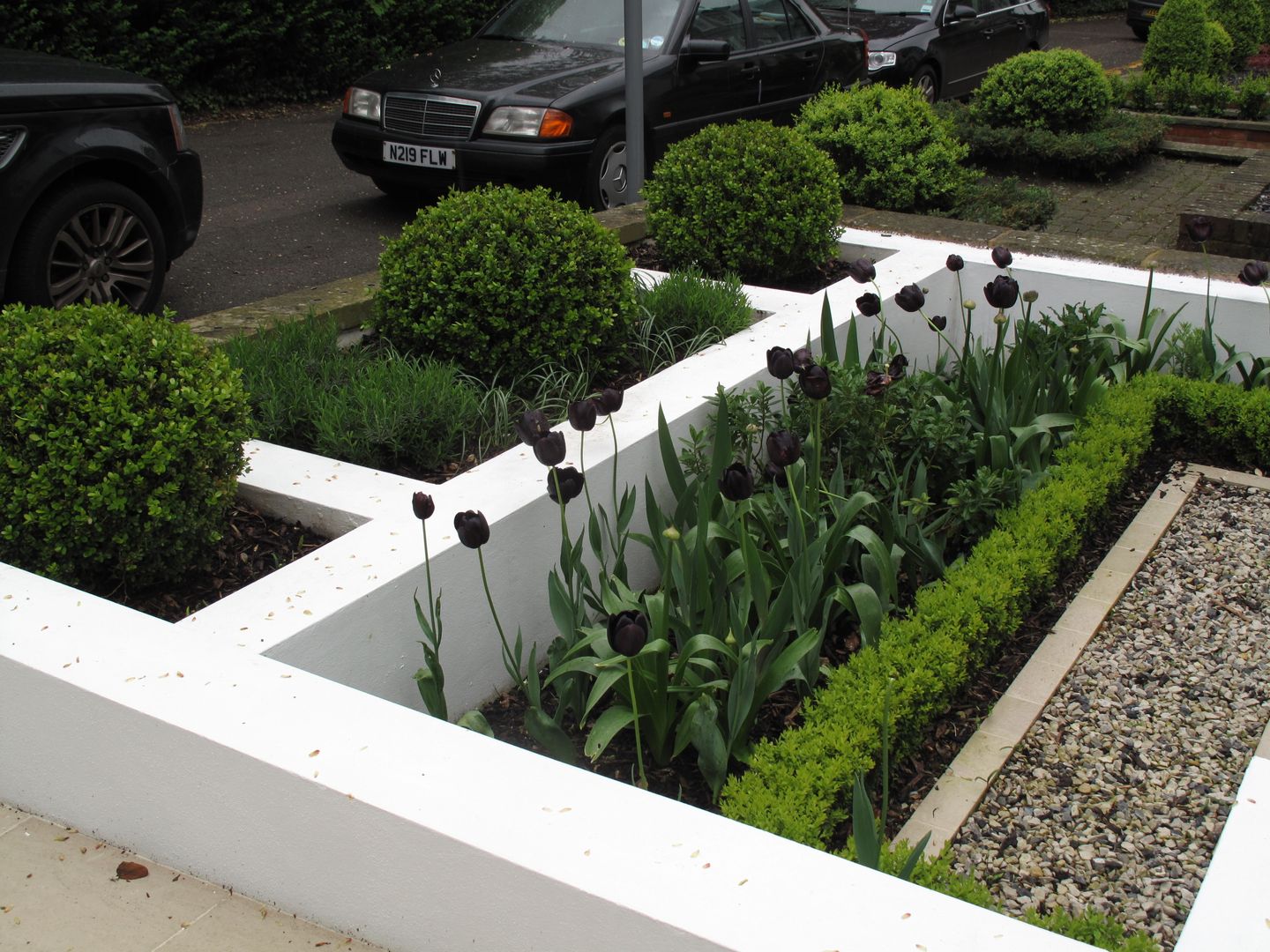 Contemporary Garden in Guildford, Cherry Mills Garden Design Cherry Mills Garden Design Сад в стиле модерн