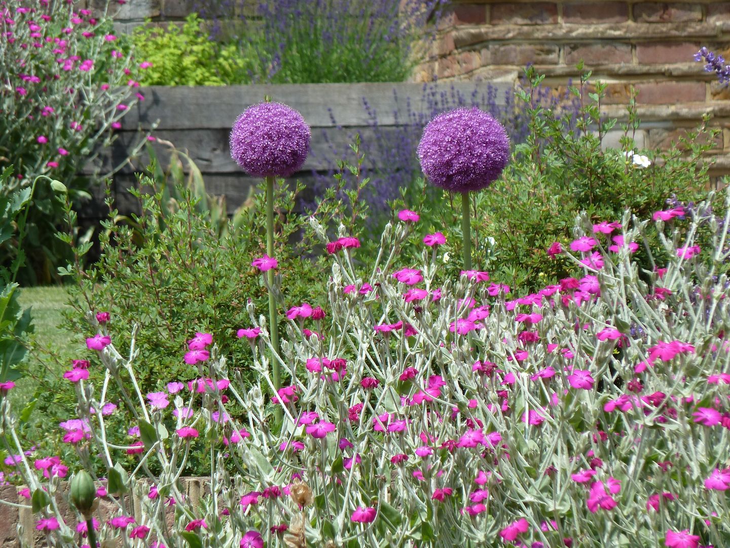 Garden for bees., Cherry Mills Garden Design Cherry Mills Garden Design 庭院