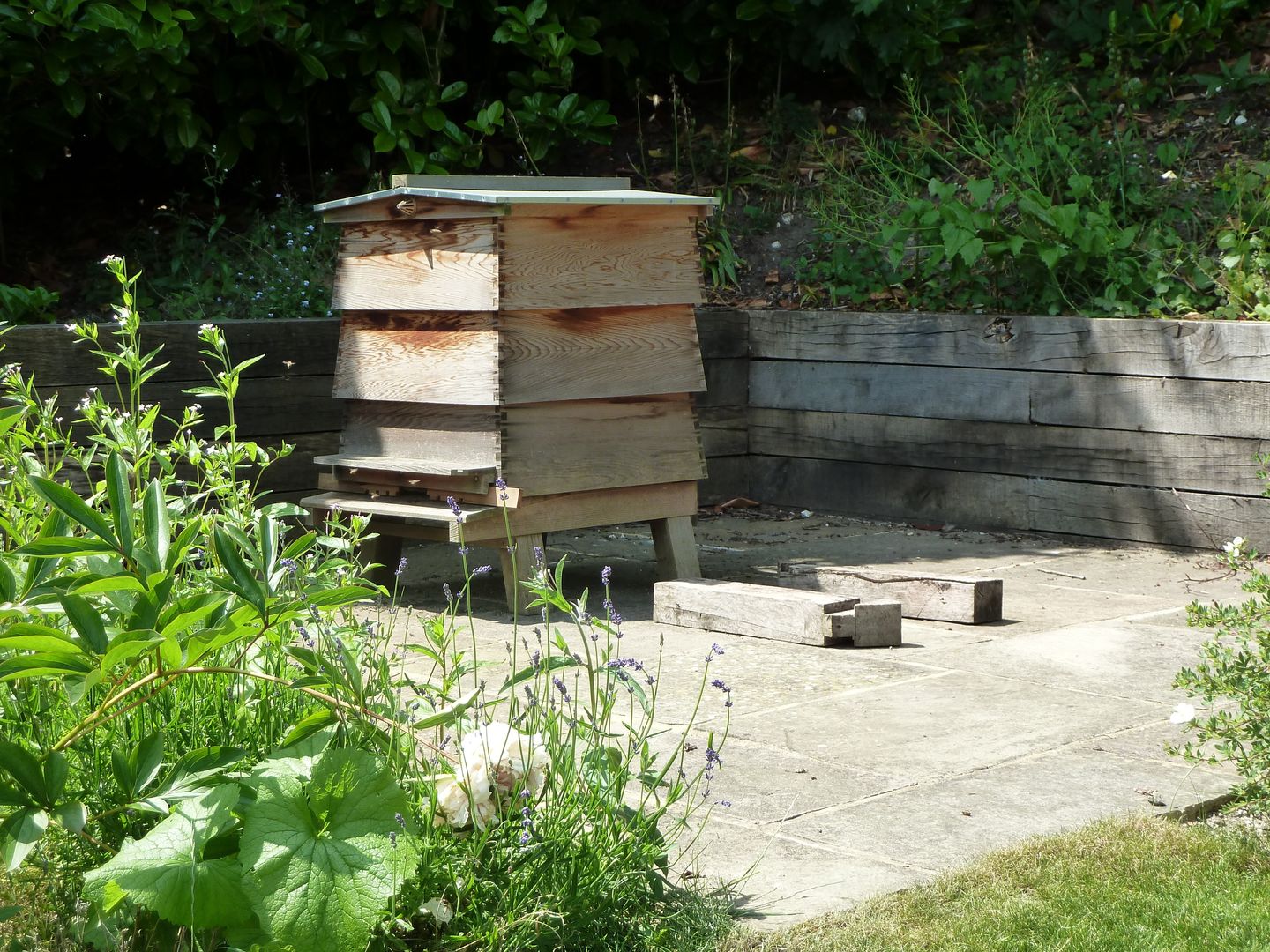 Garden for bees., Cherry Mills Garden Design Cherry Mills Garden Design 庭院