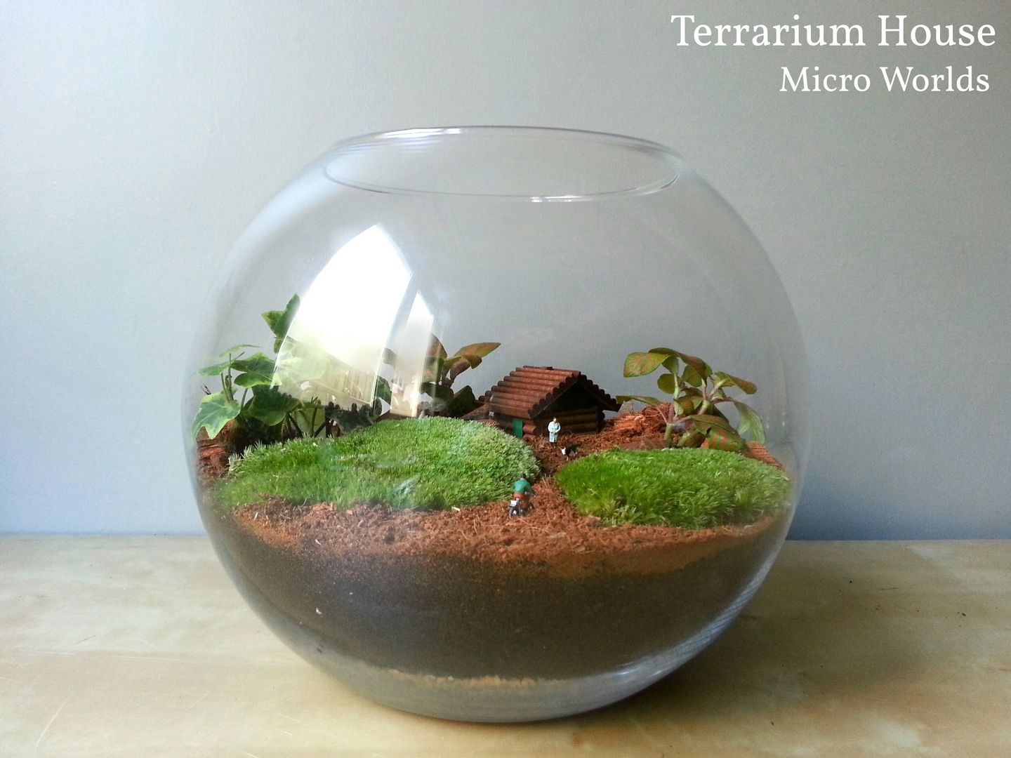 Kişiye Özel Tasarım Örnekleri, Terrarium House Terrarium House 모던스타일 정원 식물 & 액세서리