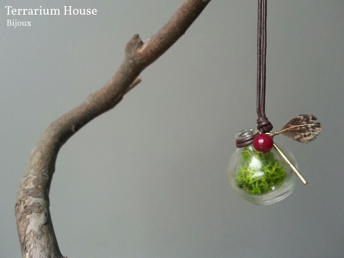 Bijoux, Terrarium House Terrarium House حديقة Plants & accessories