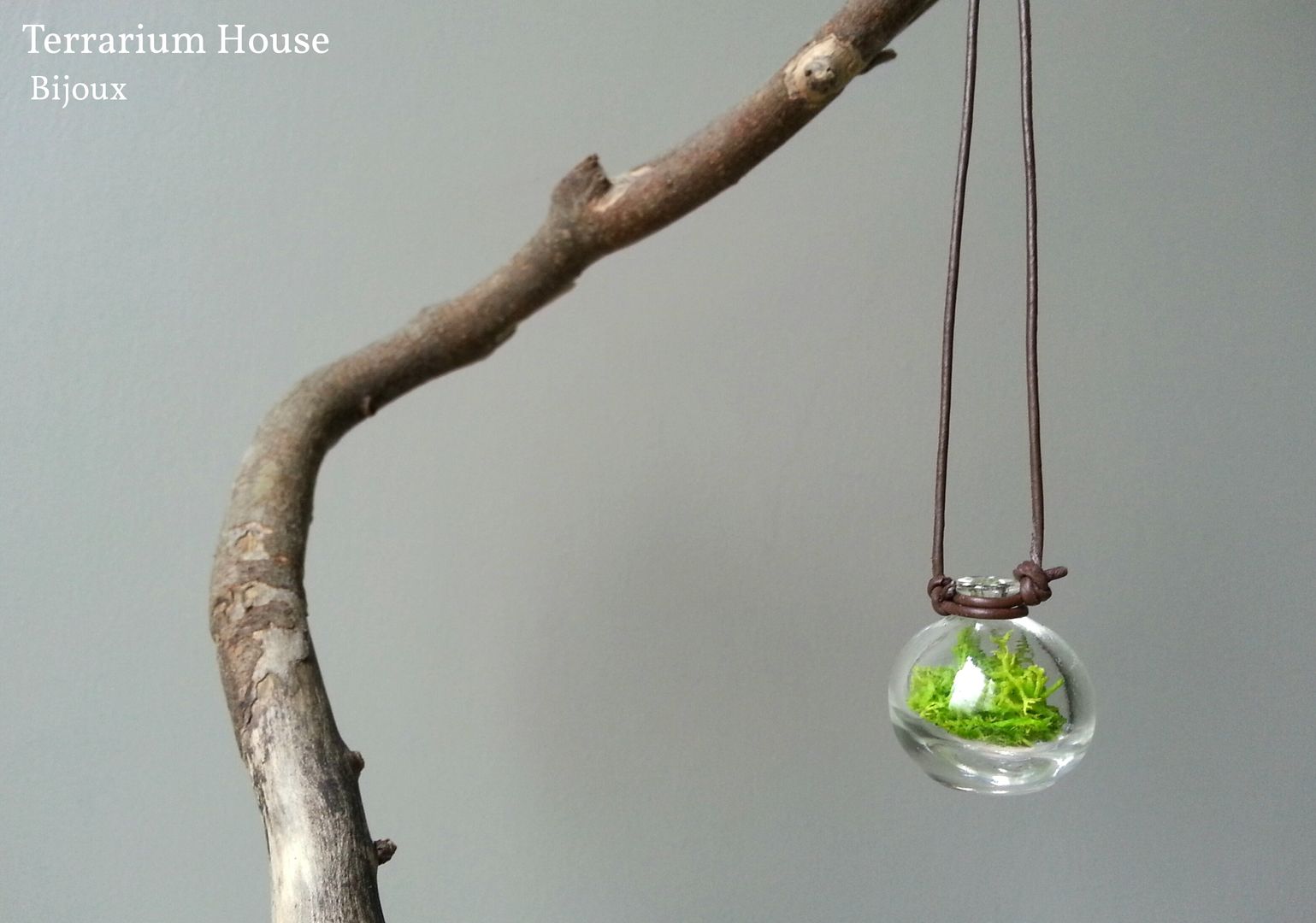 Bijoux, Terrarium House Terrarium House Modern Garden Plants & accessories