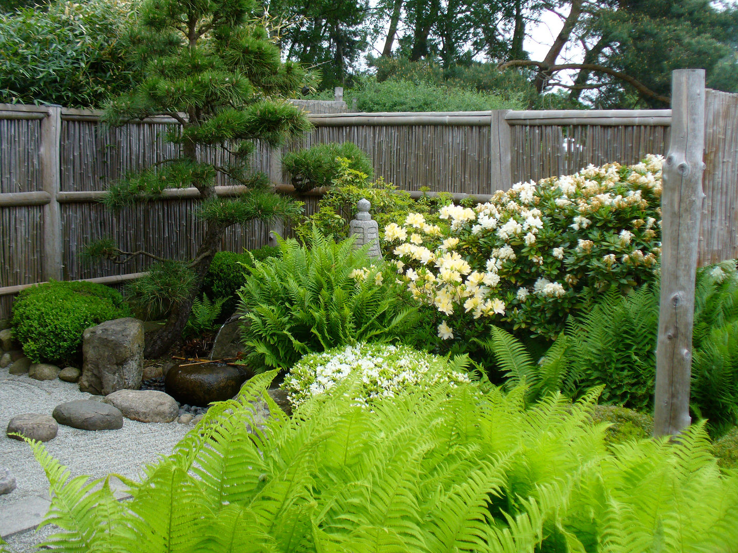 Schaugarten in Bartschendorf, ROJI Japanische Gärten ROJI Japanische Gärten Jardines asiáticos