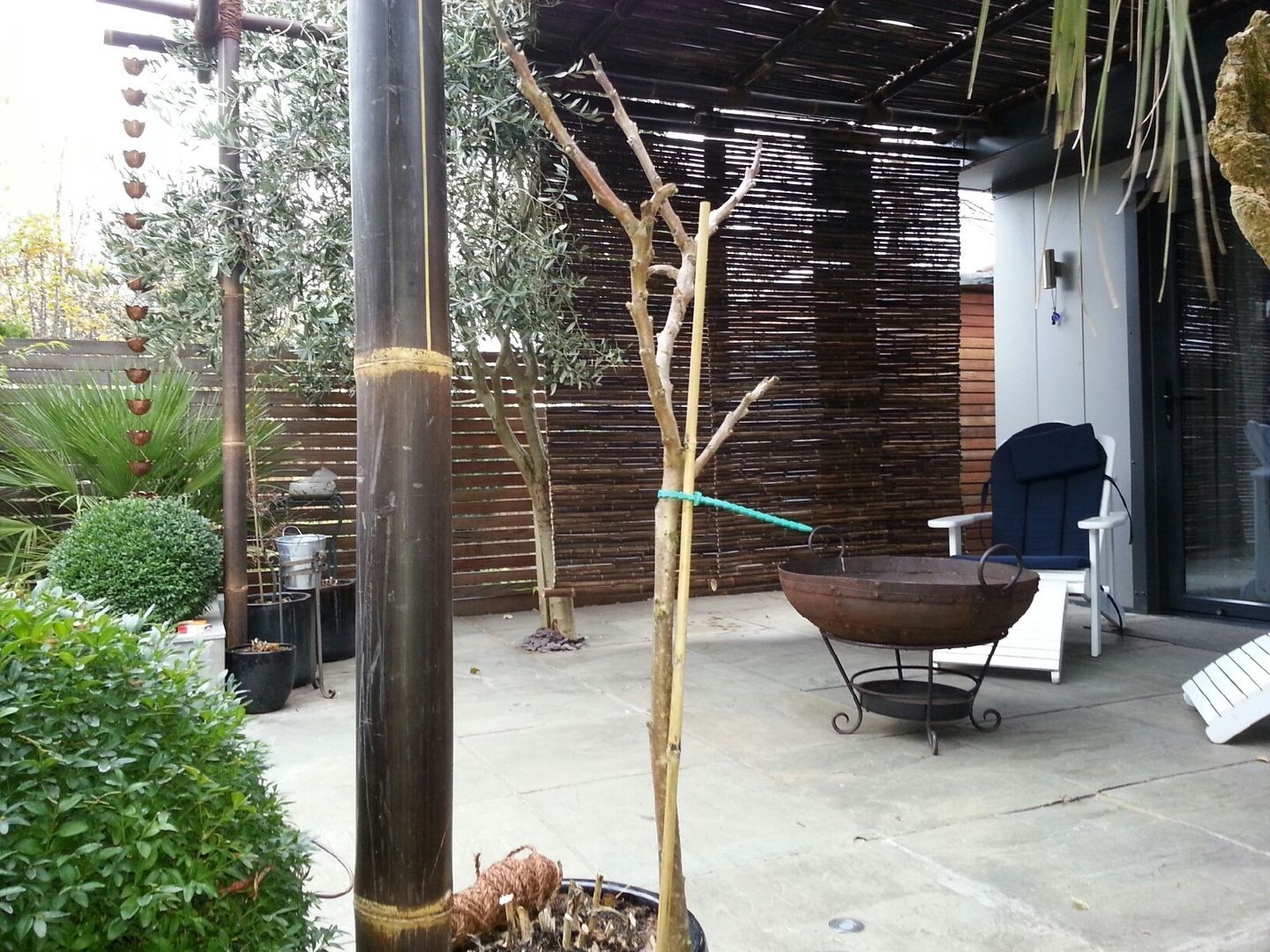 Outside Inside, Uk Bamboo Supplies Ltd Uk Bamboo Supplies Ltd Terrace