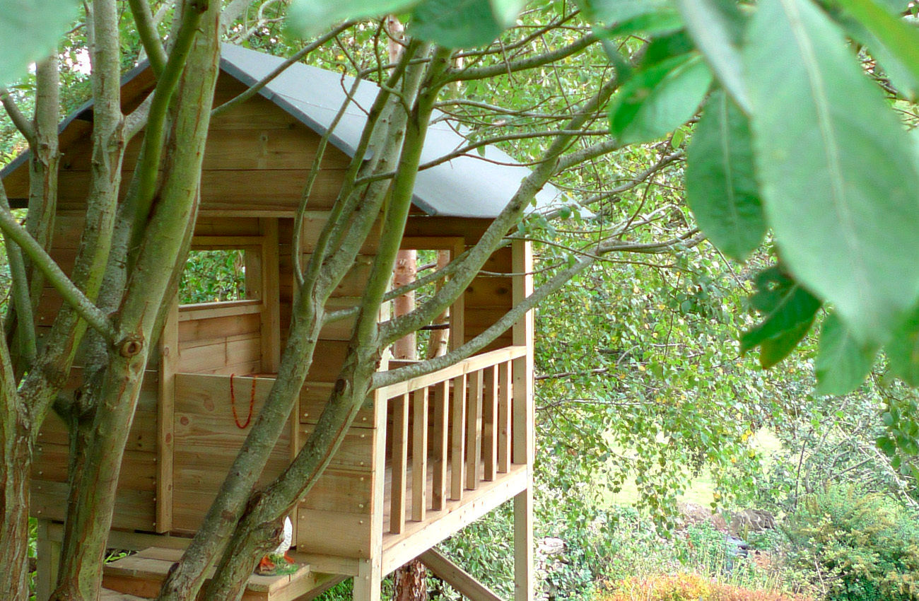 Treehouse wayne maxwell Jardin rustique