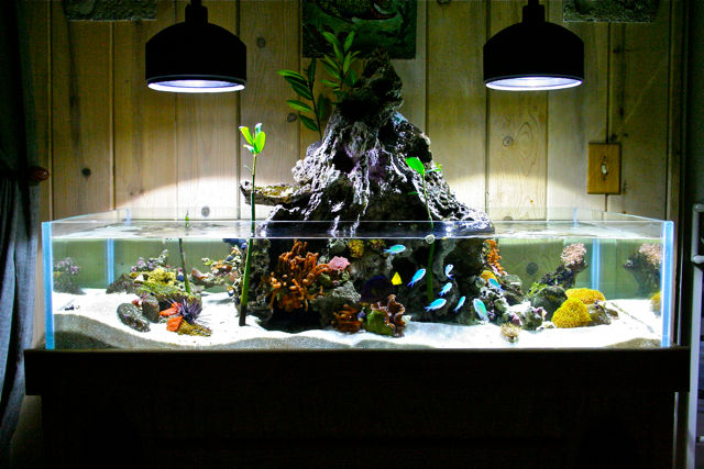 Аквариум морской, Аквариумный салон "Мир за стеклом" Аквариумный салон 'Мир за стеклом' Autres espaces Accessoires pour animaux