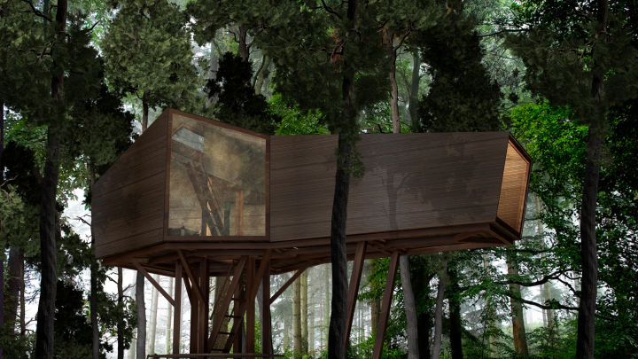 Inhabit Tree House, Woodstock, New York, antonygibbondesigns antonygibbondesigns 모던스타일 주택