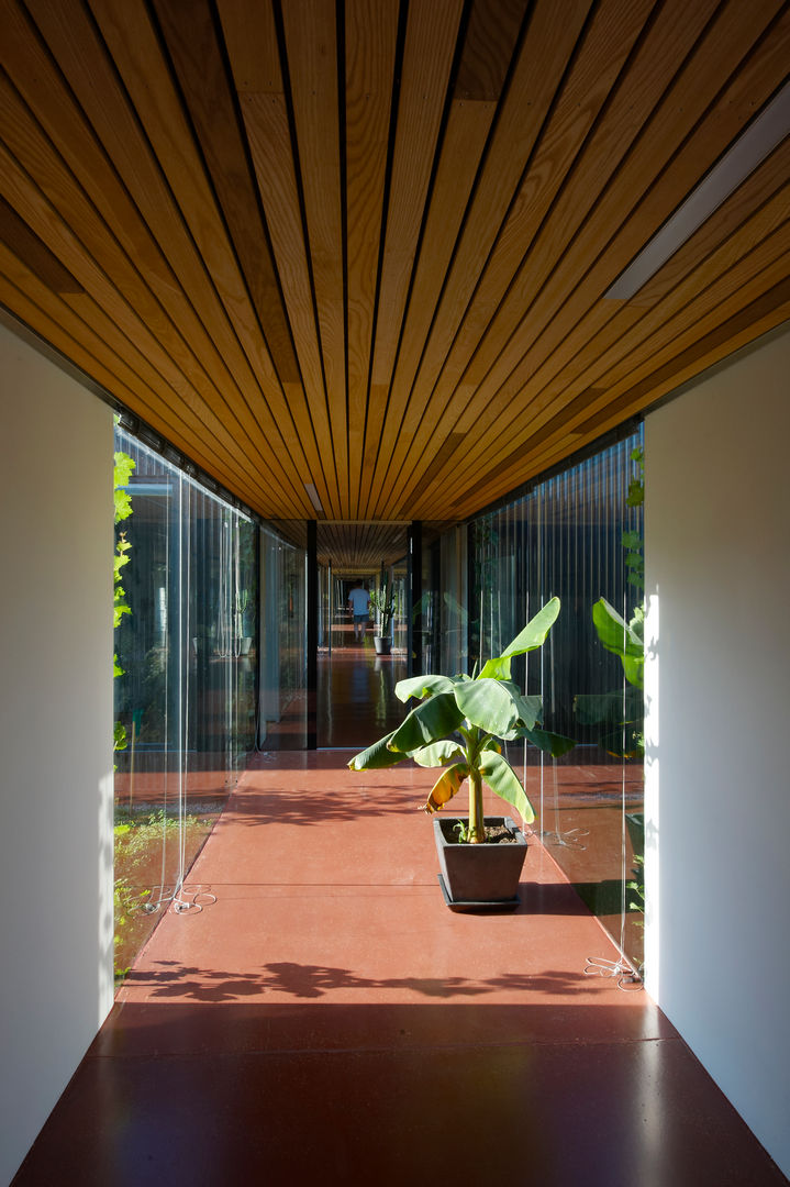 streckhof reloaded zellerndorf, franz franz Moderner Wintergarten Pflanze,Gebäude,Zimmerpflanze,Fenster,Blumentopf,Holz,Schatten,Innenarchitektur,Baum,Umhauen