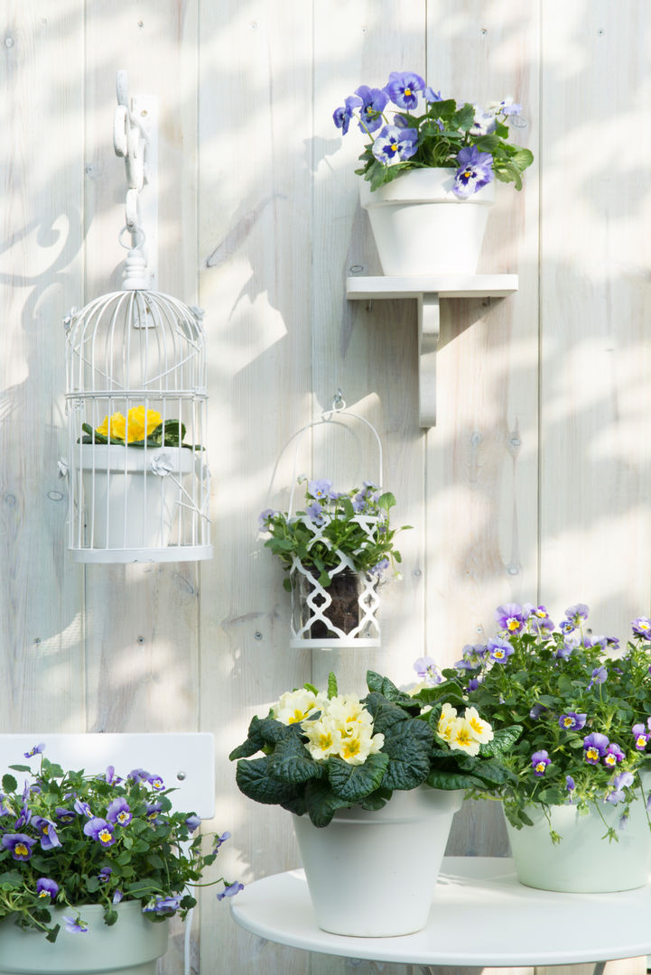 Frühlingsgarten, Pflanzenfreude.de Pflanzenfreude.de Scandinavische balkons, veranda's en terrassen Planten & bloemen