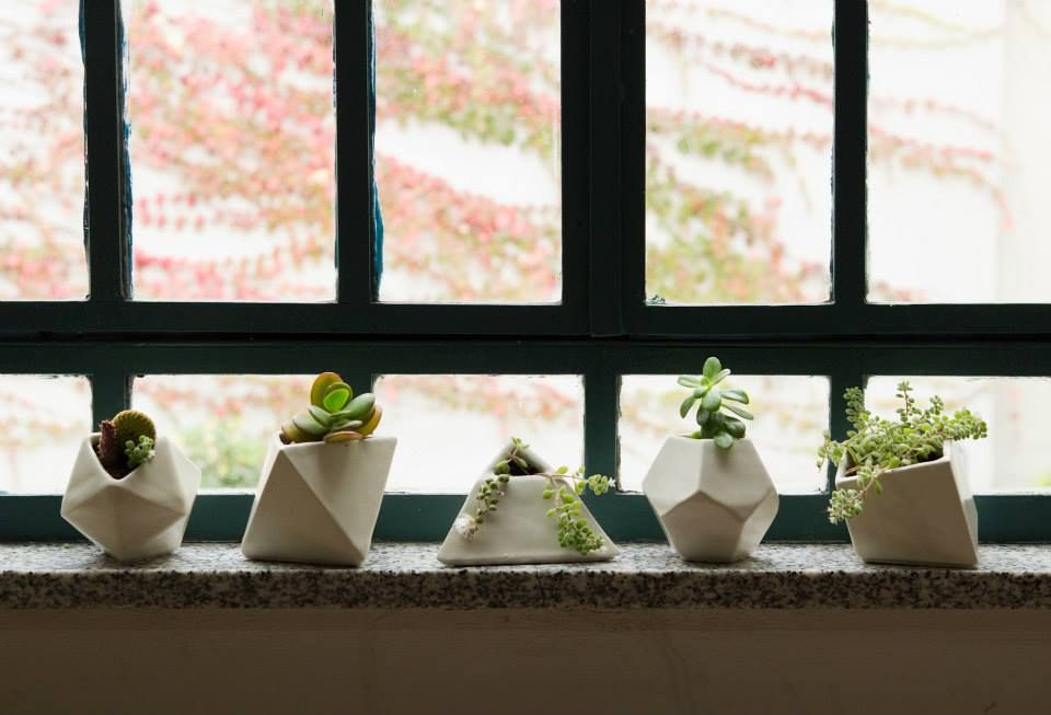 Decoración del Hogar, Sílice - almacén de diseño - Sílice - almacén de diseño - Hiên, sân thượng phong cách hiện đại Plants & flowers