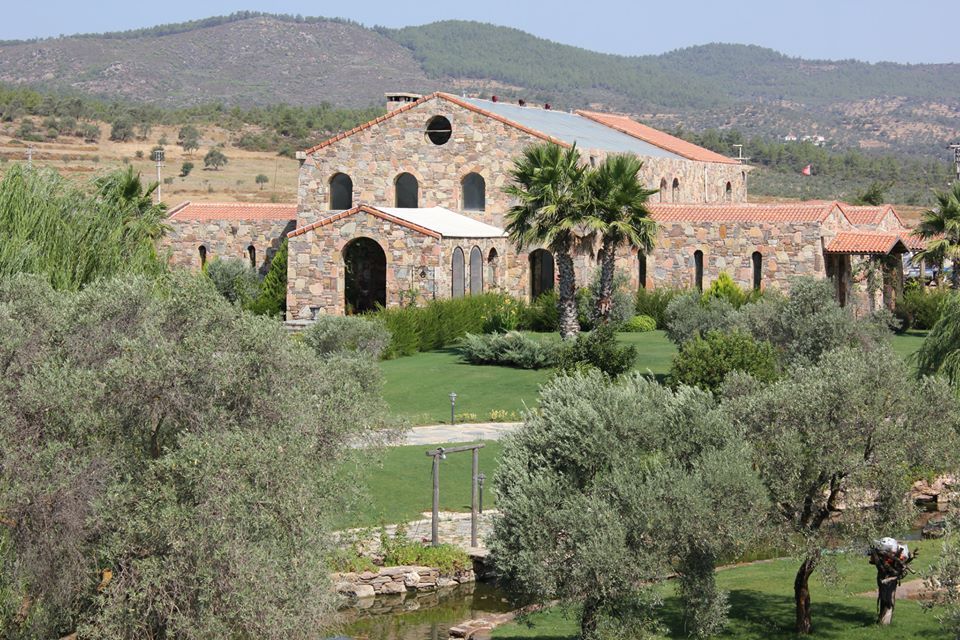 Stonia, Zeus Tasarım Ltd. Şti. Zeus Tasarım Ltd. Şti. Modern Houses