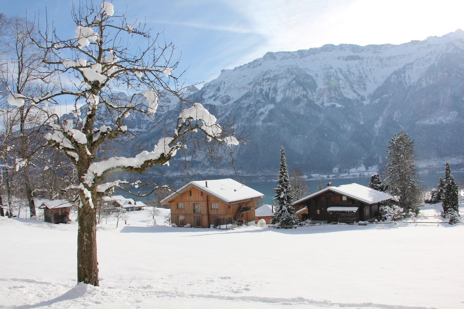 Im Herzen der Schweizer Alpen Visions Haus Gewerbeflächen Hotels