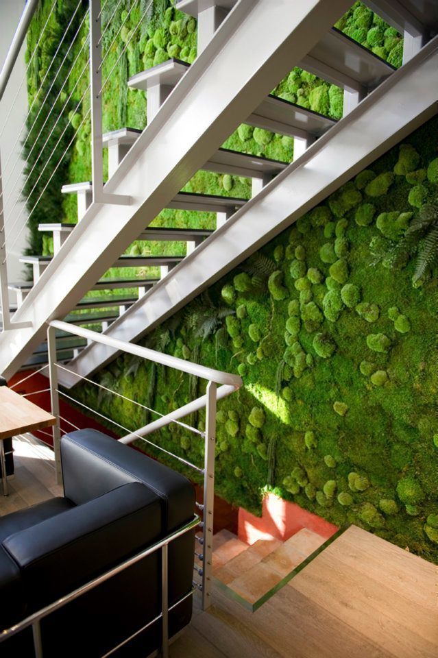 Mur Végétaux, Green Mood Green Mood Commercial spaces Office buildings