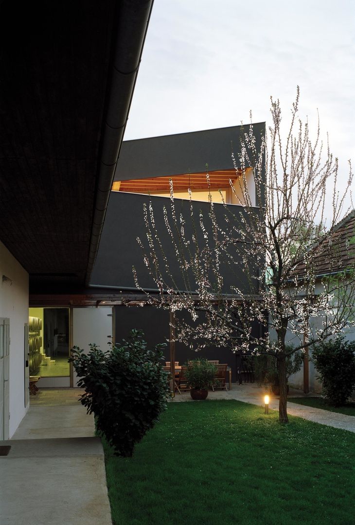 Weingut Erich Sattler, Architects Collective Architects Collective Modern houses