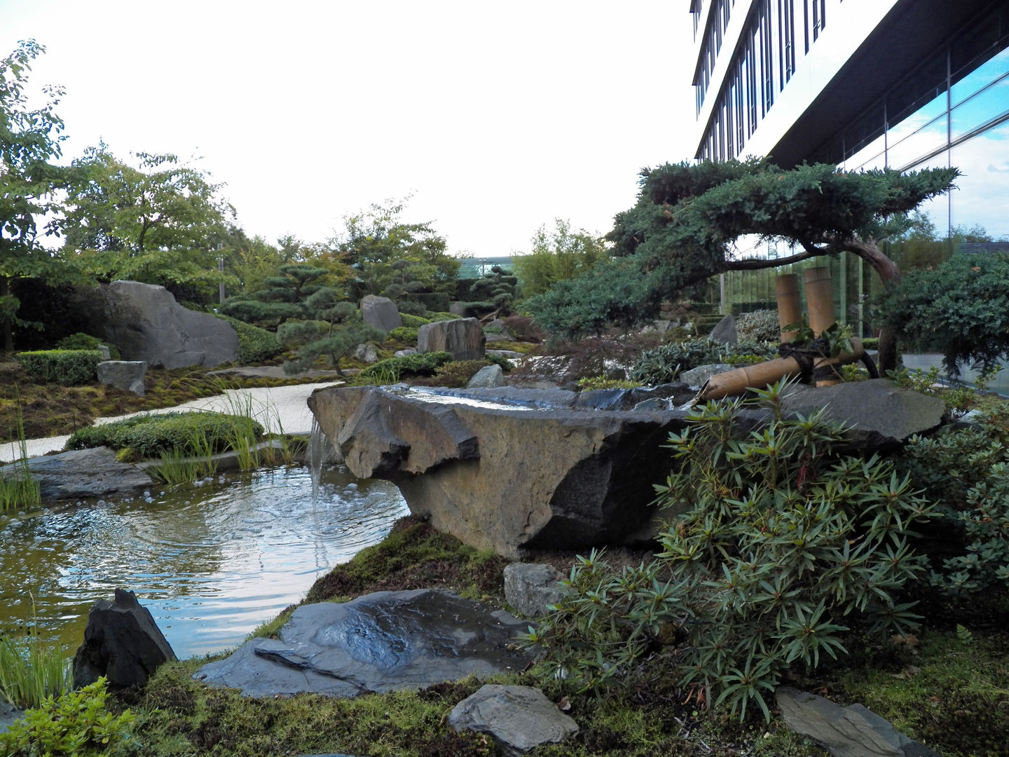 Japangarten in Hannover - Fokusierung beim Essen sowie beim Lernen, Kokeniwa Japanische Gartengestaltung Kokeniwa Japanische Gartengestaltung Commercial spaces Office buildings