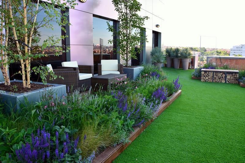 Terraza relax en Marid, La Paisajista - Jardines con Alma La Paisajista - Jardines con Alma 商業空間 オフィスビル