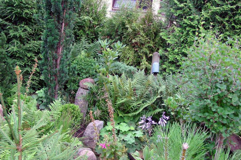 Kleiner Garten ganz Moos (Groß) Kokeniwa Japanische Gartengestaltung Asiatischer Garten