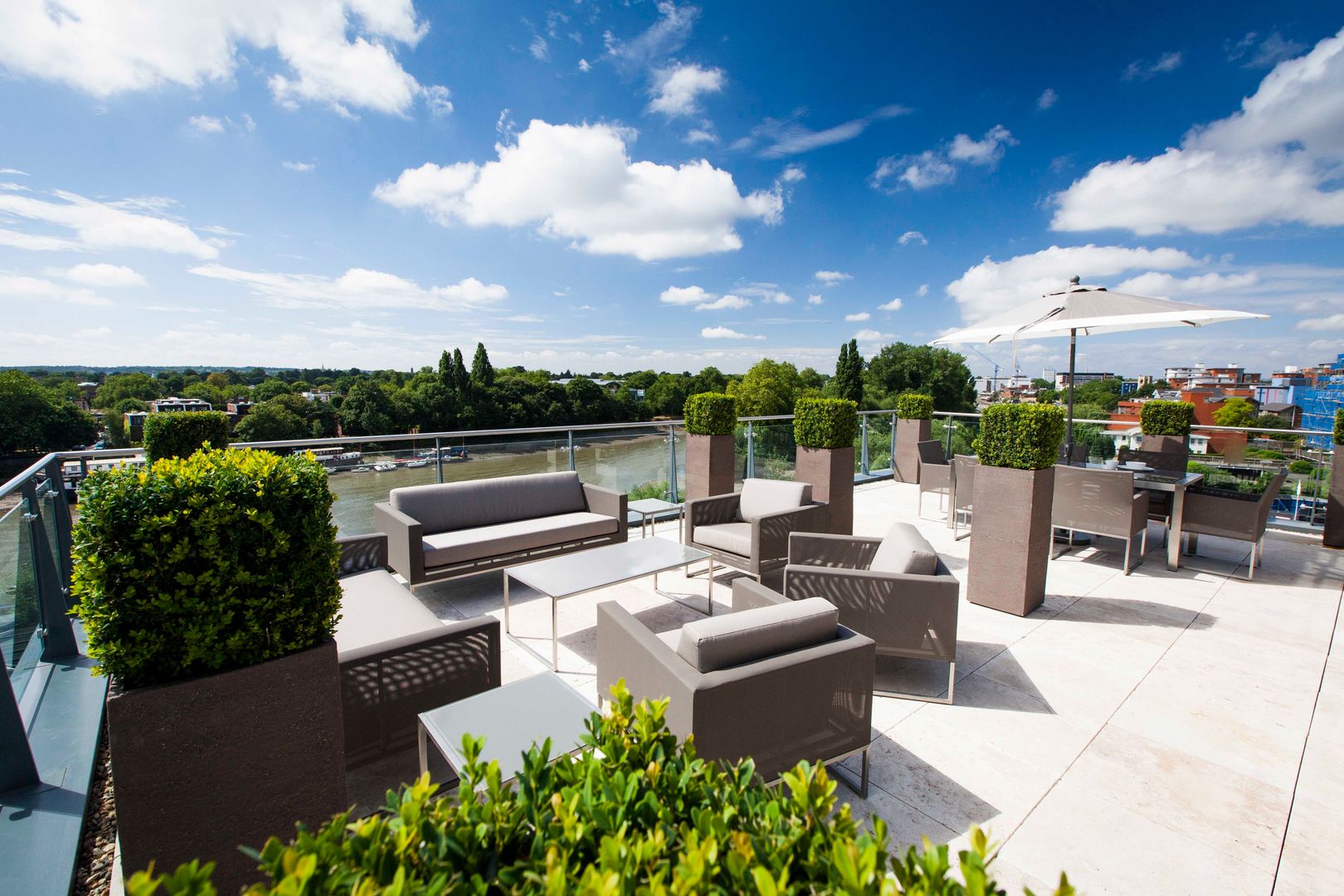 Bouncing buxus Cameron Landscapes and Gardens Roof terrace