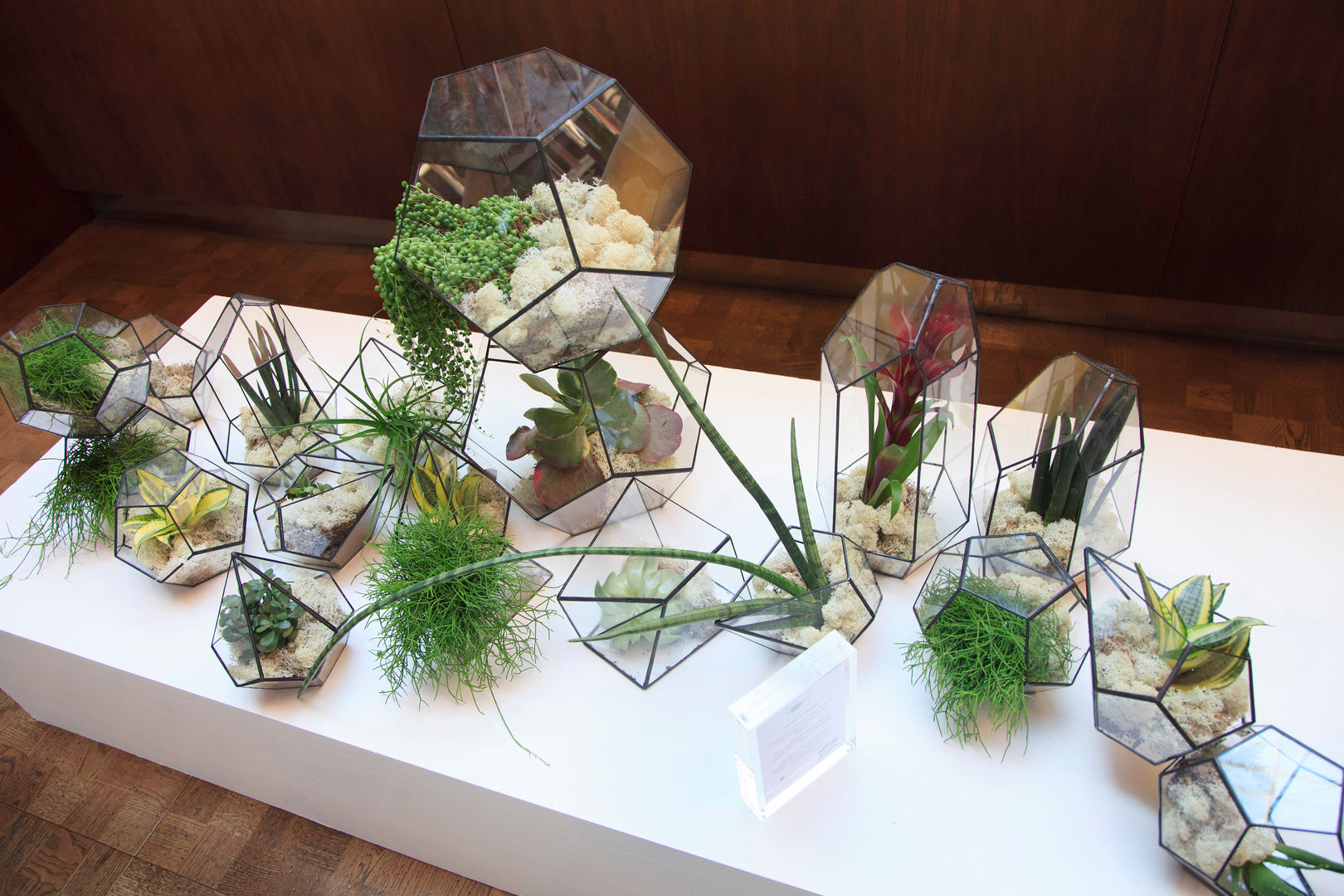 Bespoke Terrarium Instalation St Pancras Hotel Foyer The Urban Botanist غرفة المعيشة ديكورات واكسسوارات