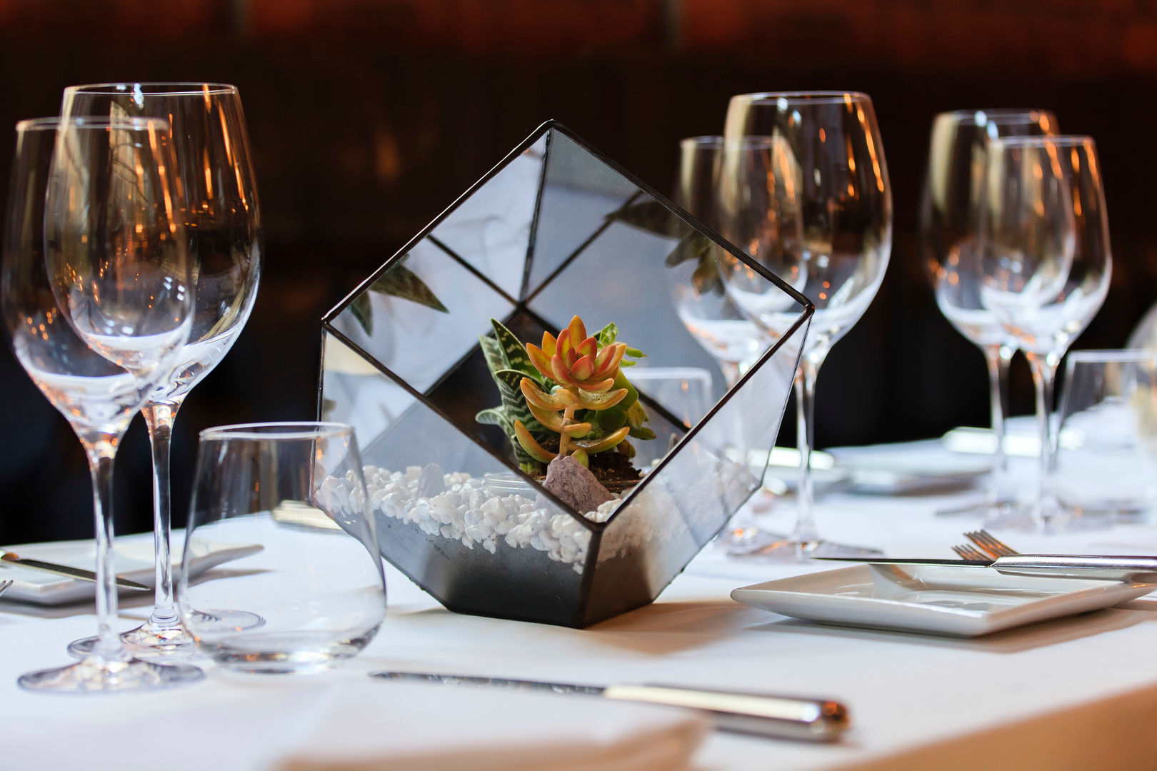 Aztec Cube Terrarium as Stunning Table Centrepiece The Urban Botanist Jardim interior Paisagismo de interior