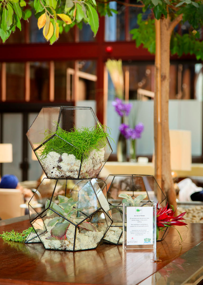 Bespoke Aztec Terrarium Installation The Urban Botanist พื้นที่เชิงพาณิชย์ ศูนย์นิทรรศการ