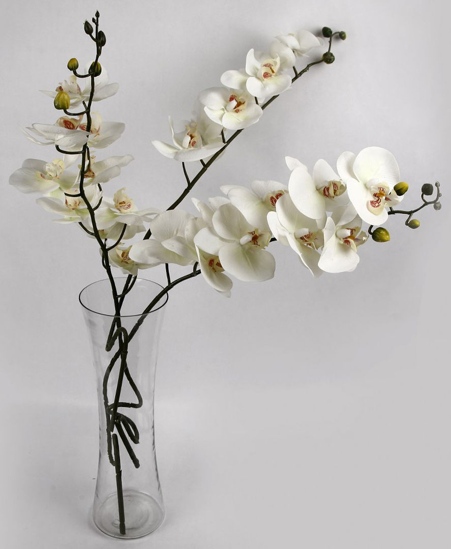 Flowers - Orchids and Lily, Uberlyfe Uberlyfe Livings de estilo minimalista Accesorios y decoración