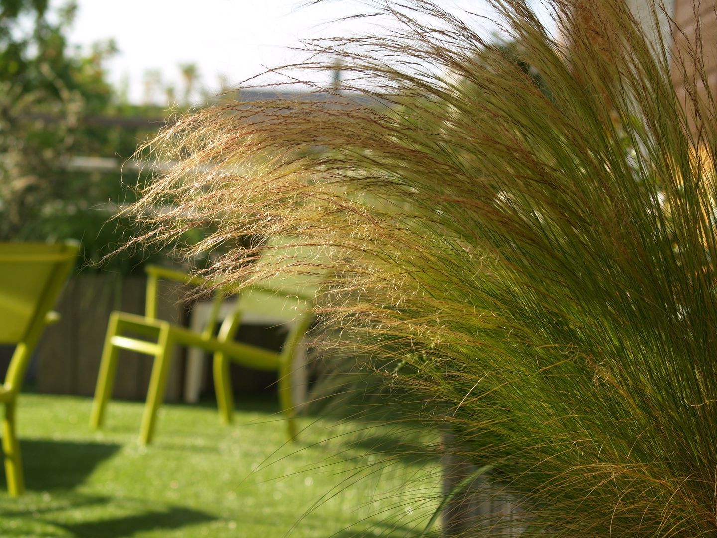 TERASSE 70 m2 Nantes centre ville, SO GREEN SO GREEN Patios