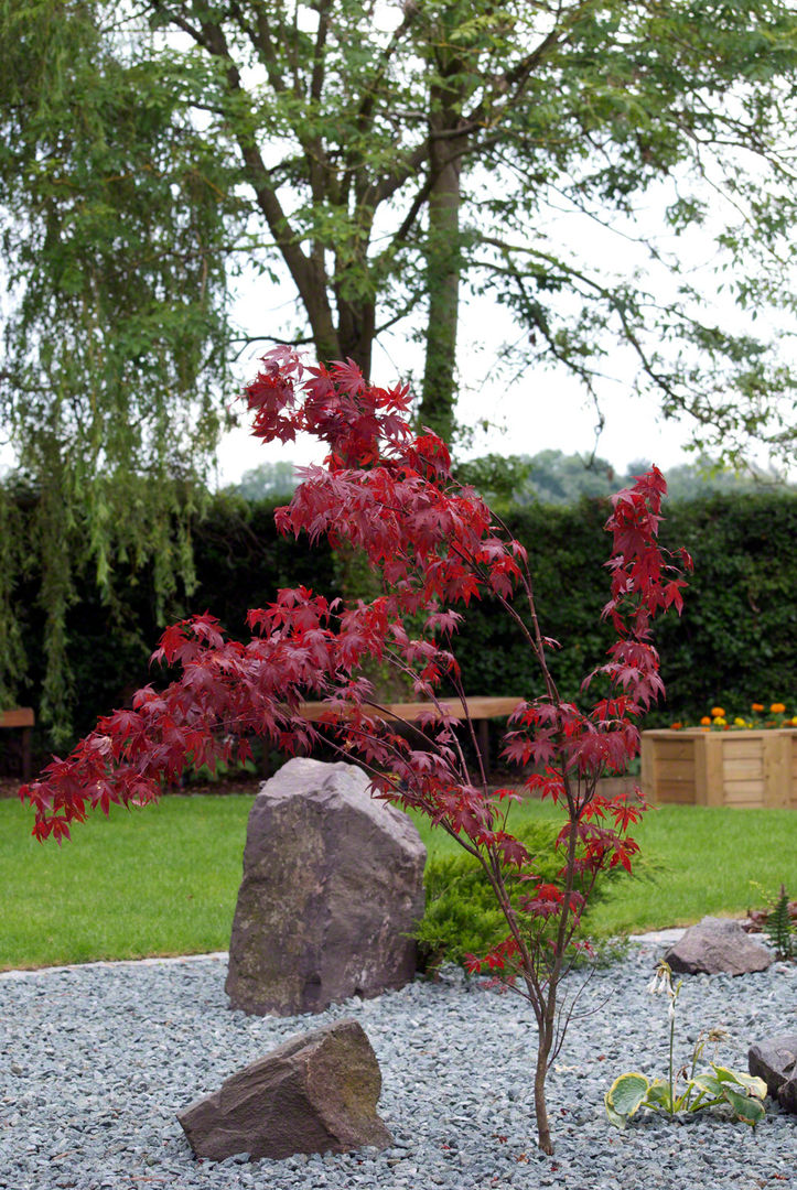 A tranquil combination of traditional rock, slate and Acer Lush Garden Design حديقة