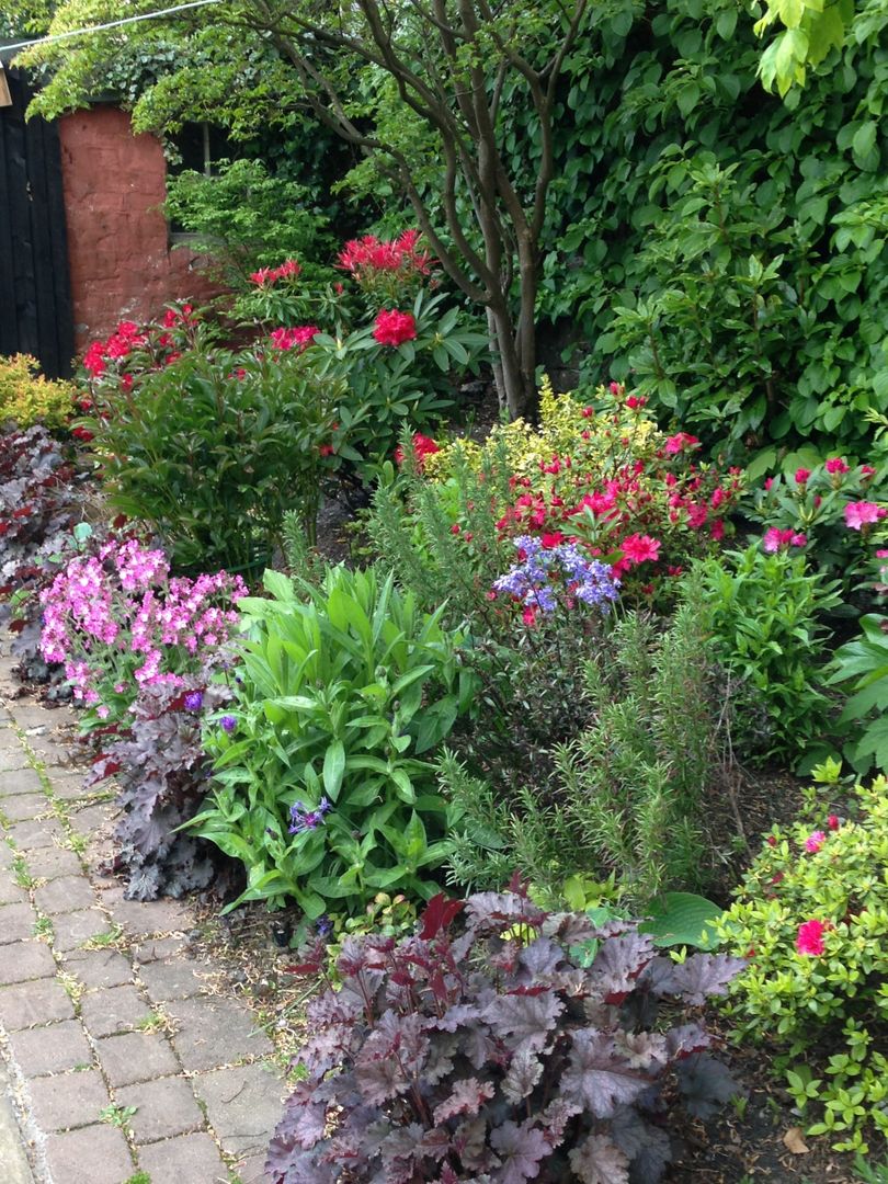 A shady border homify Giardino in stile rustico