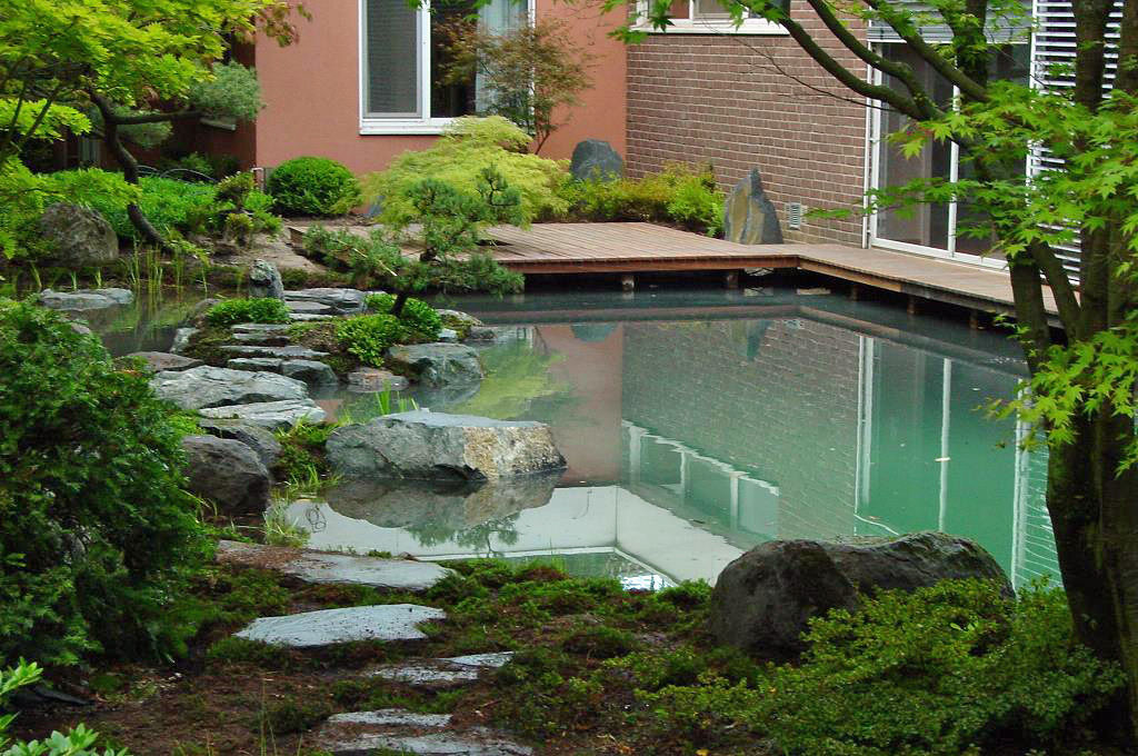 Altes im neuen Gewand - Sanierung einer Teichanlage in einem bestehenden japanischen Garten, Kokeniwa Japanische Gartengestaltung Kokeniwa Japanische Gartengestaltung สวน