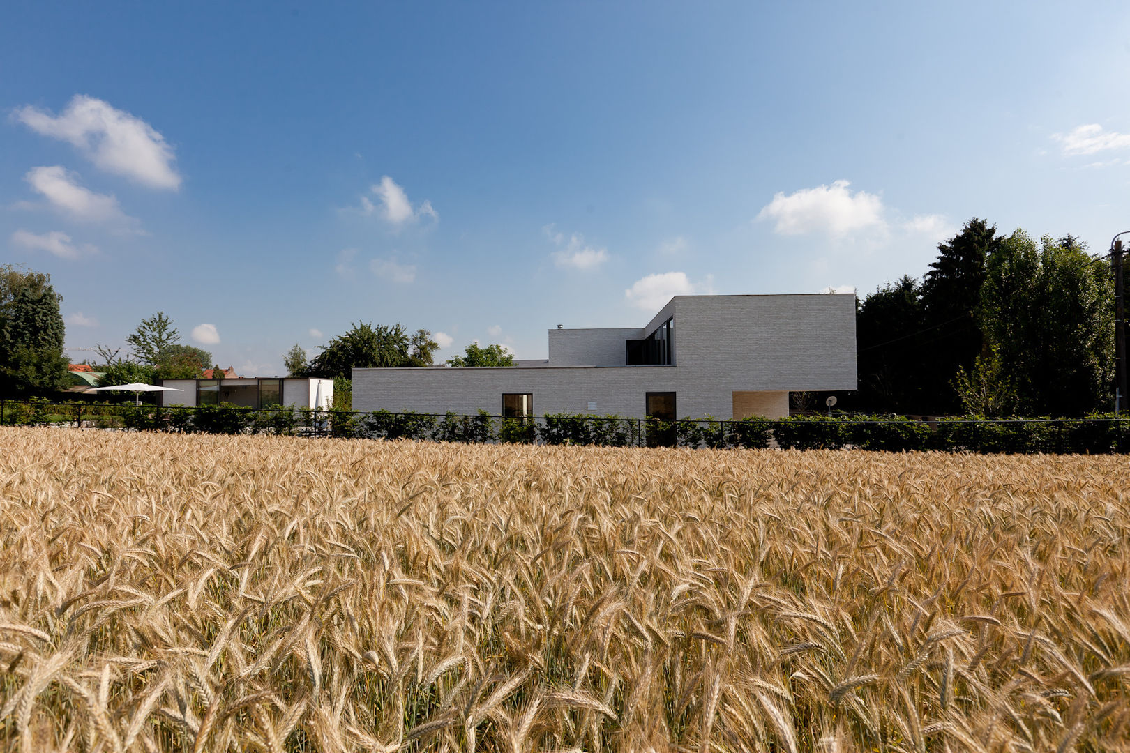 Patio house VAWE, areal architecten cvba areal architecten cvba Jardines de estilo minimalista