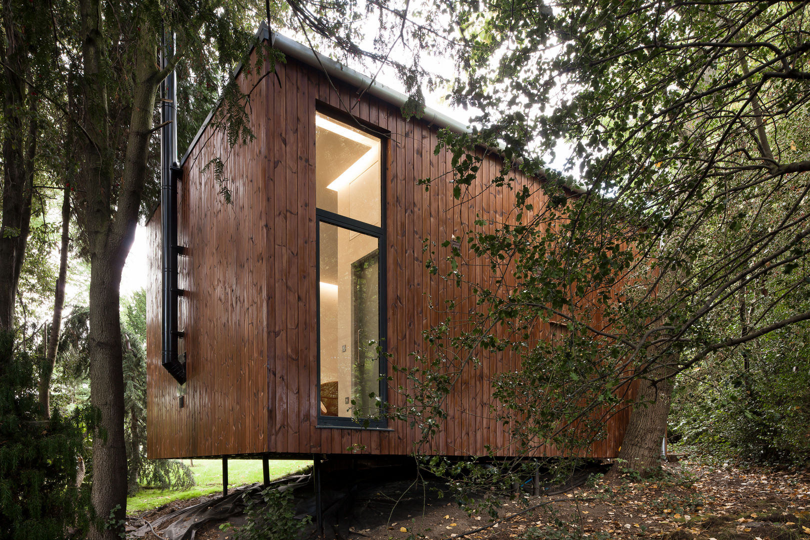 Summer House, Blackheath, Fraser Brown MacKenna Architects Fraser Brown MacKenna Architects Moderne woonkamers