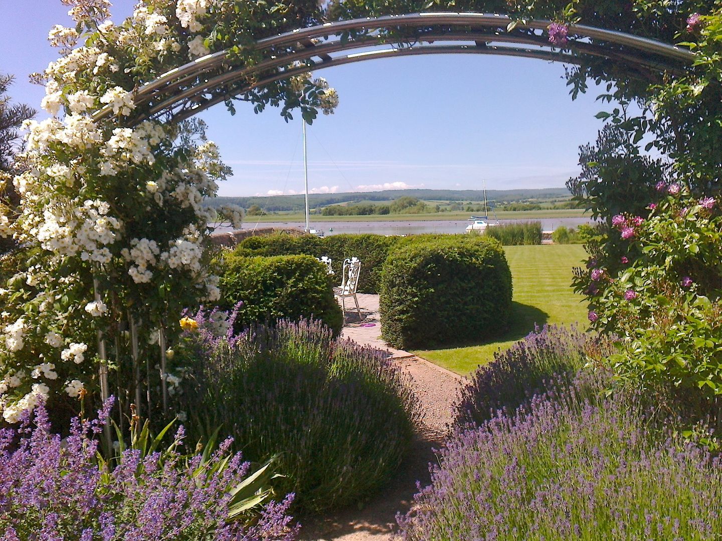 Sheltered seating Roger Webster Garden Design モダンな庭