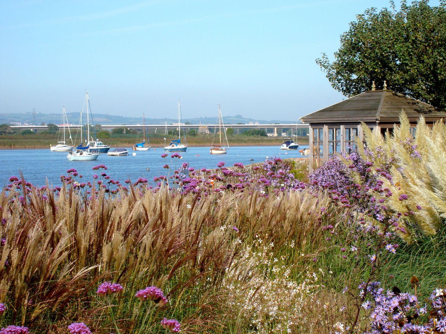 Coastal garden and summerhouse Roger Webster Garden Design Modern garden