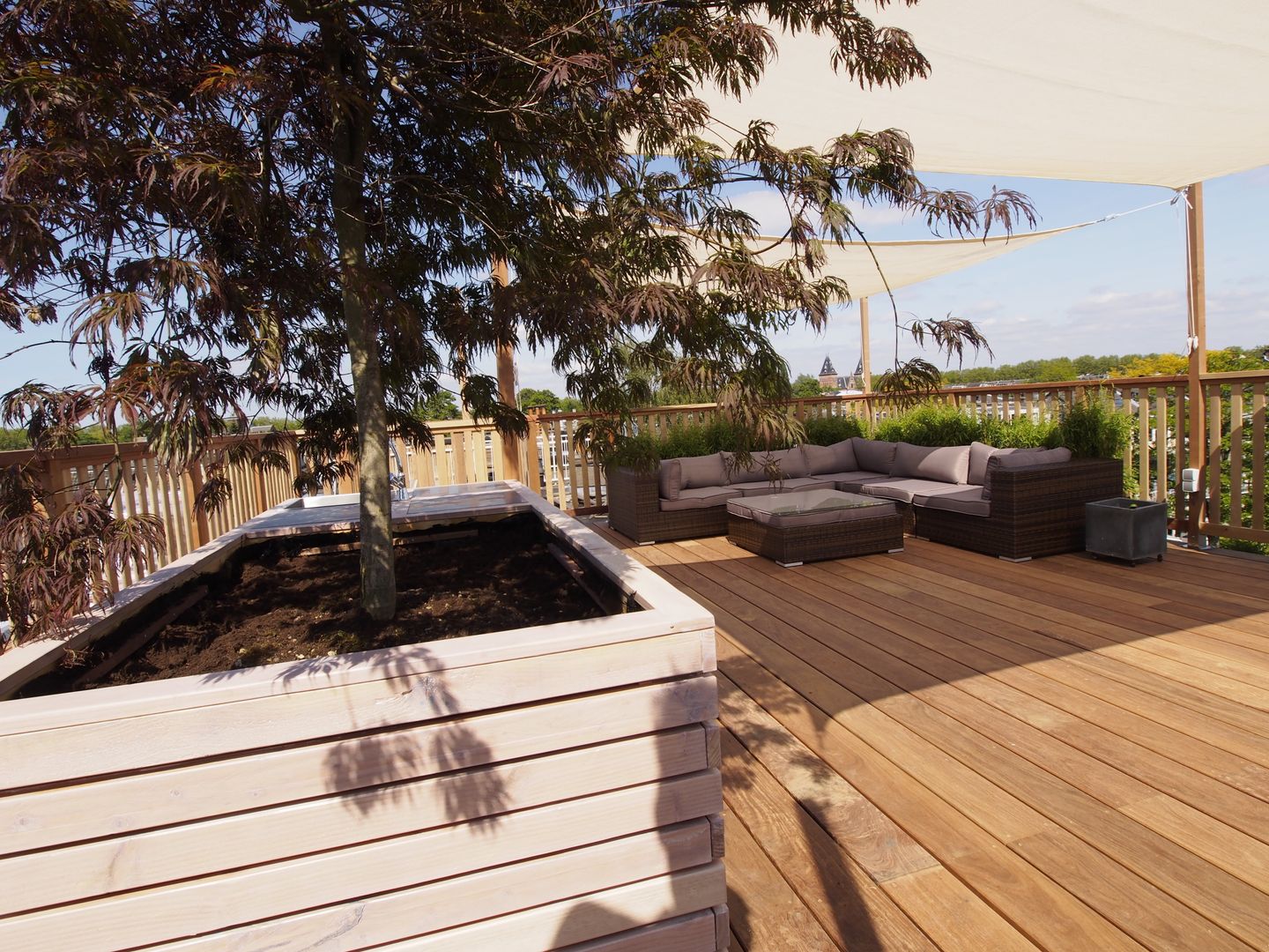 Japanse esdoorn op dakterras ScottishCrown Dakterrassen Moderne balkons, veranda's en terrassen Planten & bloemen