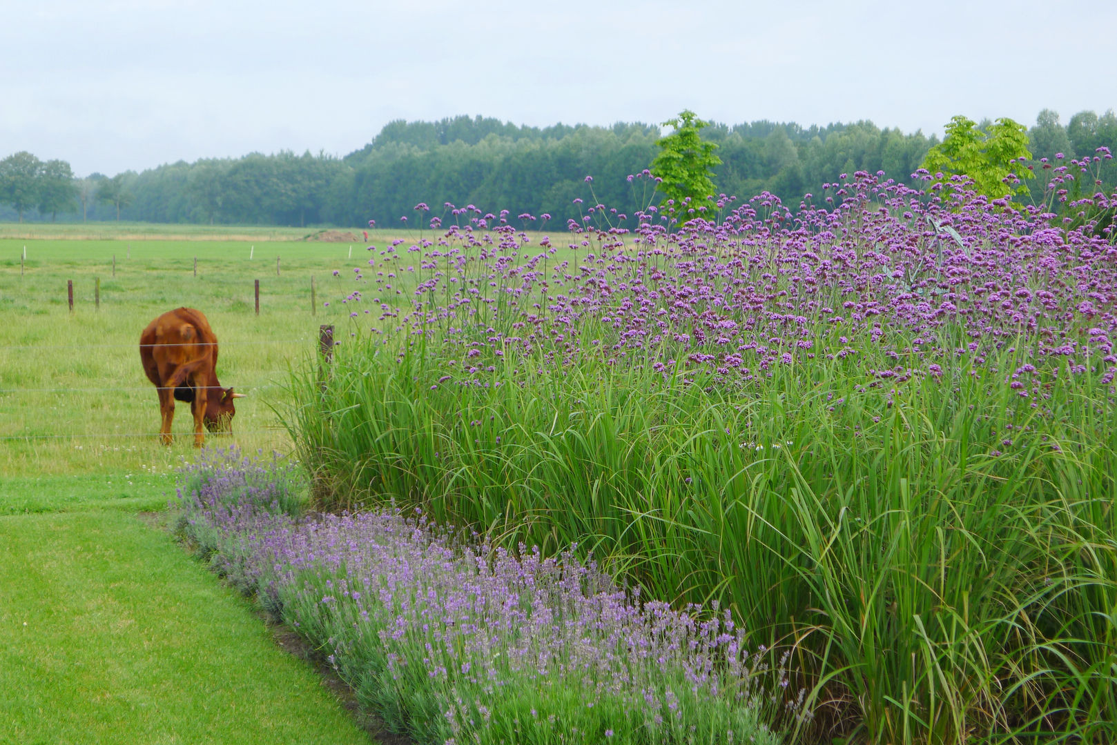 Vrijheid in de tuin - natuurlijk gegrond, Meeuwis de Vries Tuinen Meeuwis de Vries Tuinen Modern style gardens