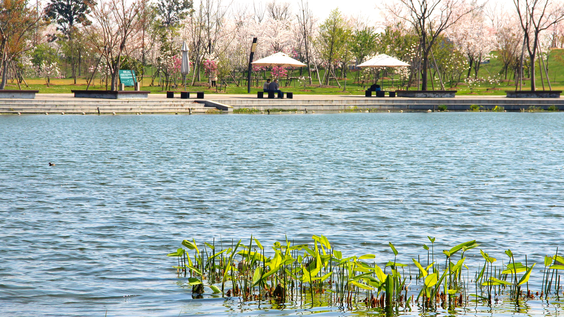 Chenshan Botanic Garden Shanghai, Valentien + Valentien Landschaftsarchitekten Stadtplaner Valentien + Valentien Landschaftsarchitekten Stadtplaner Commercial spaces Event venues