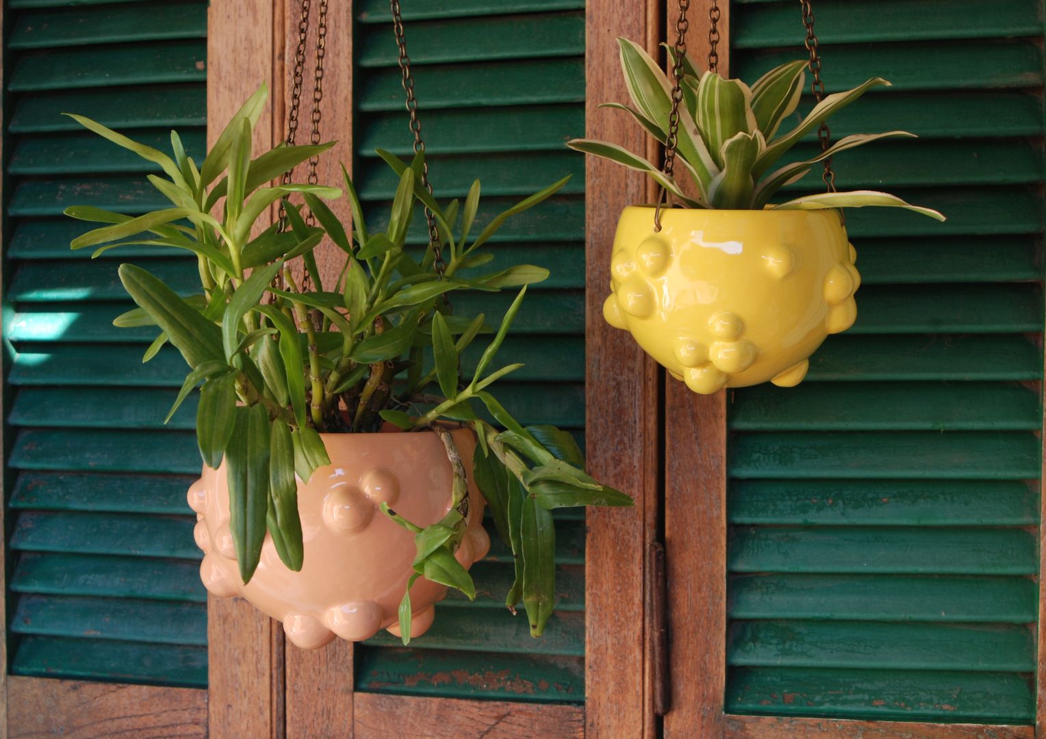 COLECCION BLUP, CURADORAS CURADORAS Modern balcony, veranda & terrace Plants & flowers