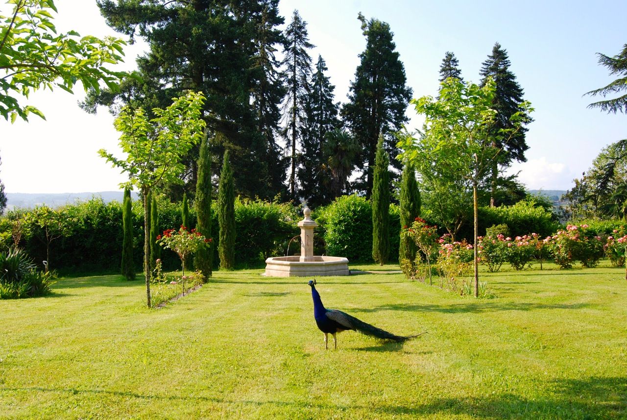 Fontaine centrale en pierre installée dans un jardin, Provence Retrouvée Provence Retrouvée Giardino in stile mediterraneo