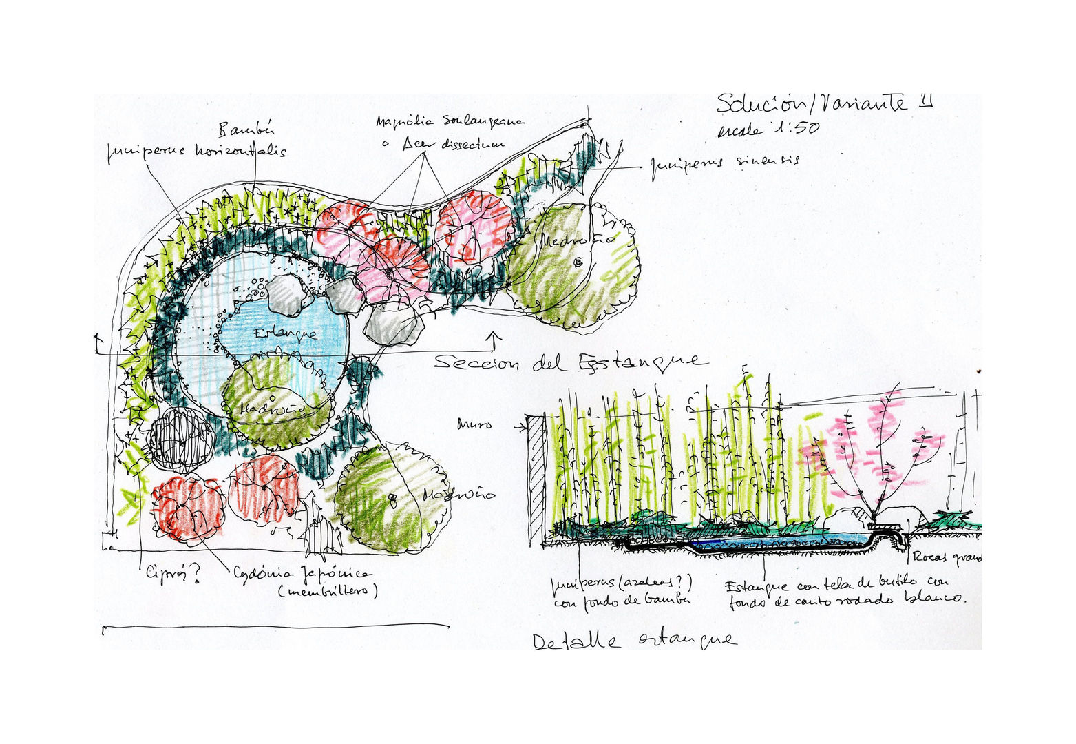 Diferentes proyectos de jardines y terrazas, IGLESIAS JARDINERÍA Y PAISAJE IGLESIAS JARDINERÍA Y PAISAJE