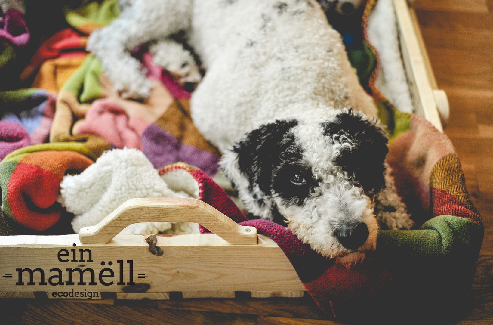 Cama para mascotas , Ein Mamëll Ein Mamëll Więcej pomieszczeń Akcesoria dla zwierząt