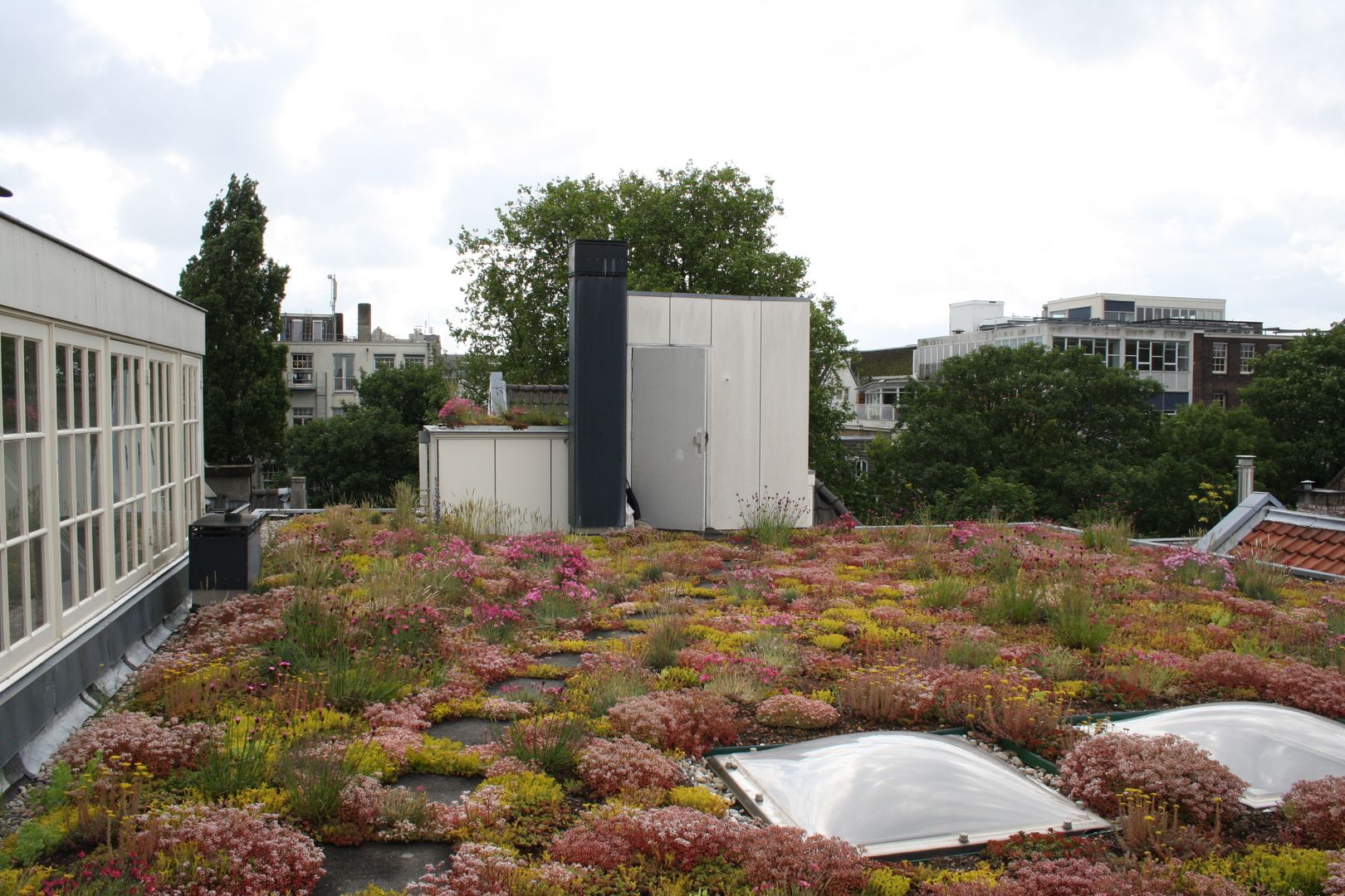 Keizersgracht, De Dakdokters De Dakdokters Jardin rural