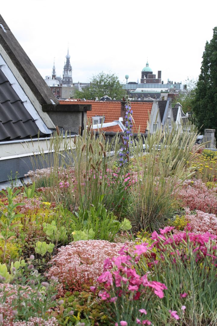 Keizersgracht, De Dakdokters De Dakdokters Jardines rurales