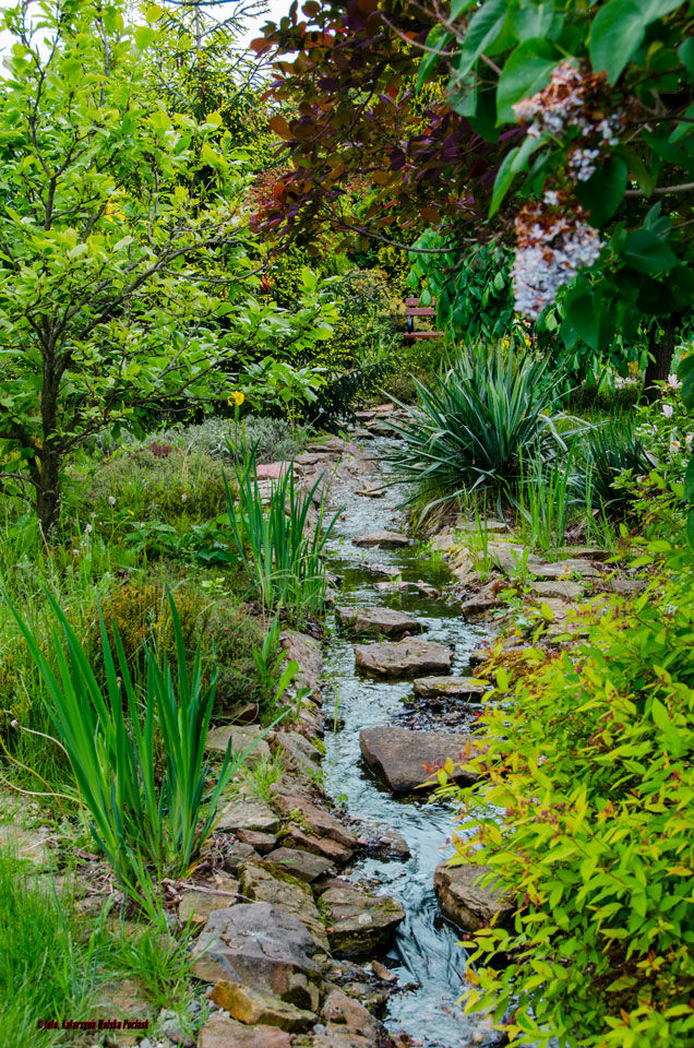 Strumyk w ogrodzie, Centrum ogrodnicze Ogrody ResGal Centrum ogrodnicze Ogrody ResGal Classic style garden Swim baths & ponds