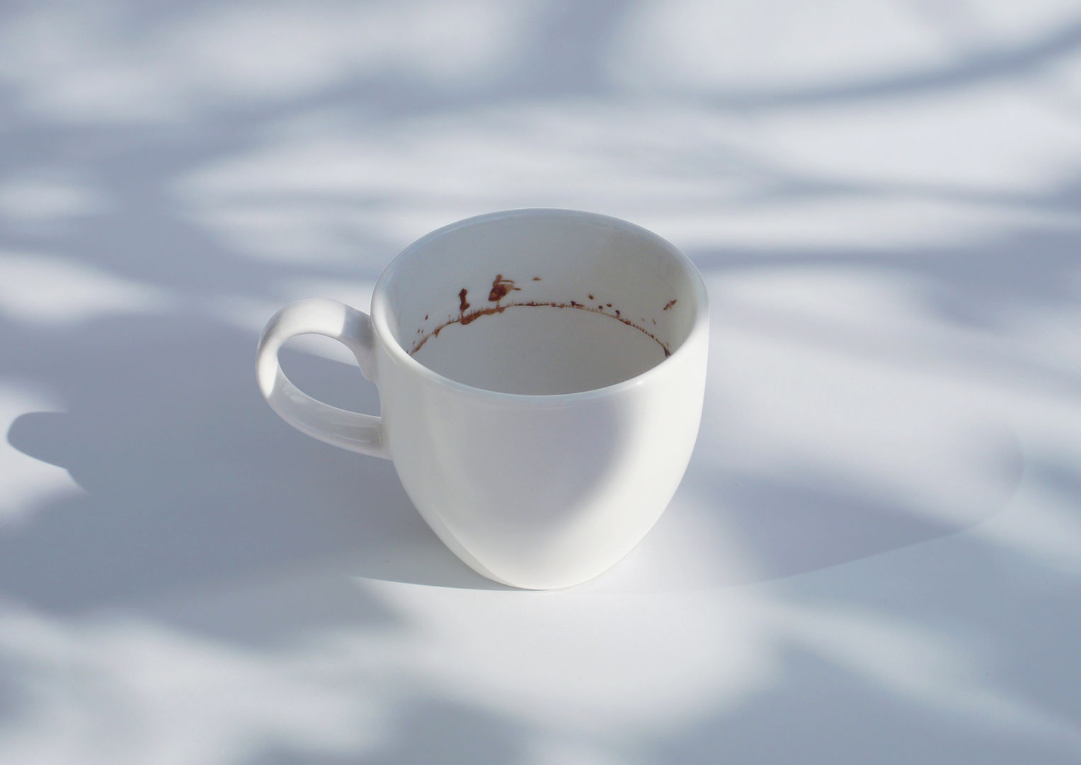 Tiny landscape in a coffee cup, Studio Yukihiro Kaneuchi Studio Yukihiro Kaneuchi غرفة السفرة Crockery & glassware