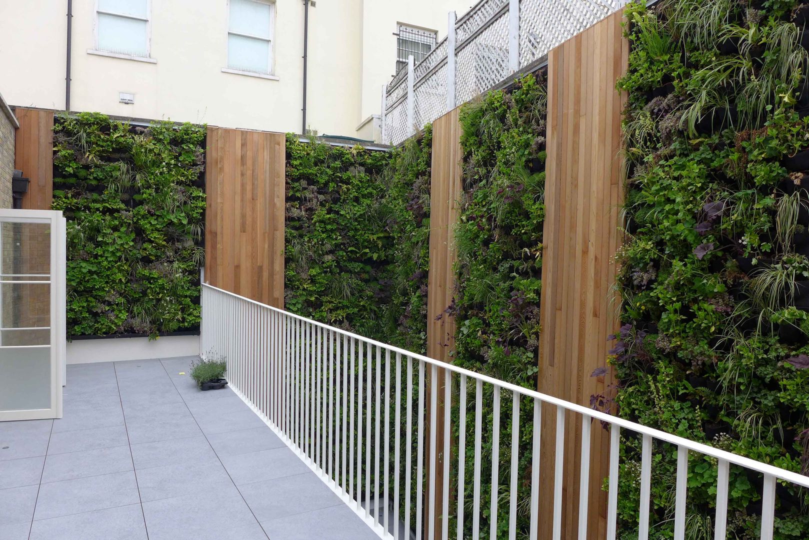 Living wall green zone design ltd Modern Bahçe