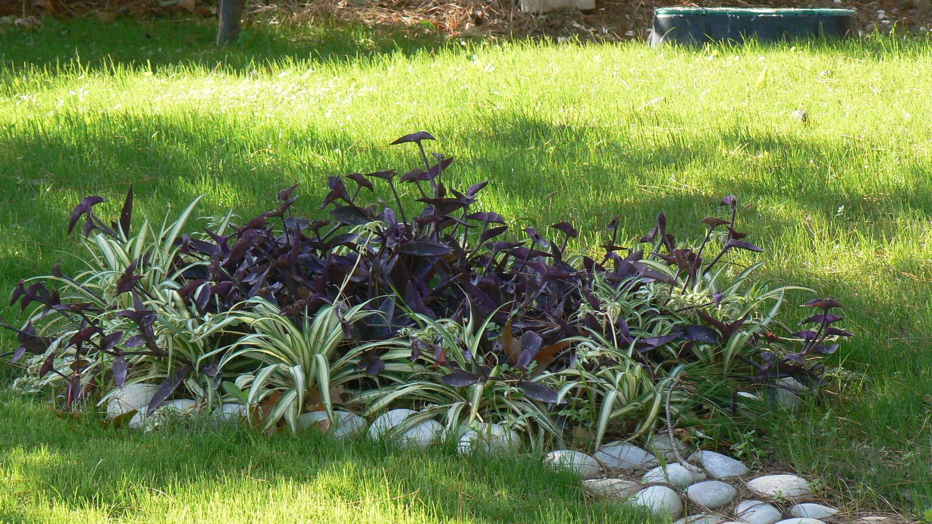 sihirli peyzaj bahçe tasarım proje uygulamaları, Sihirli Peyzaj Sihirli Peyzaj Mediterraner Garten