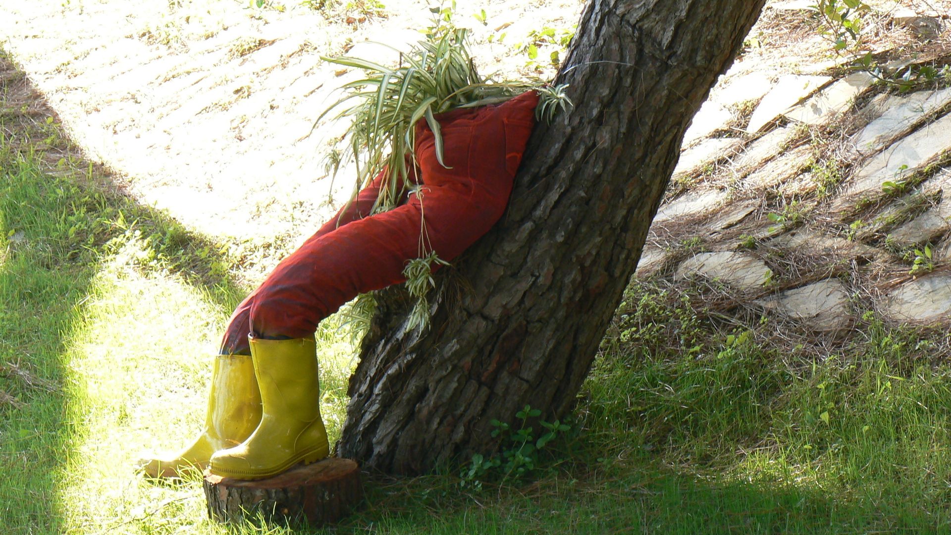 sihirli peyzaj bahçe tasarım proje uygulamaları, Sihirli Peyzaj Sihirli Peyzaj Mediterranean style garden