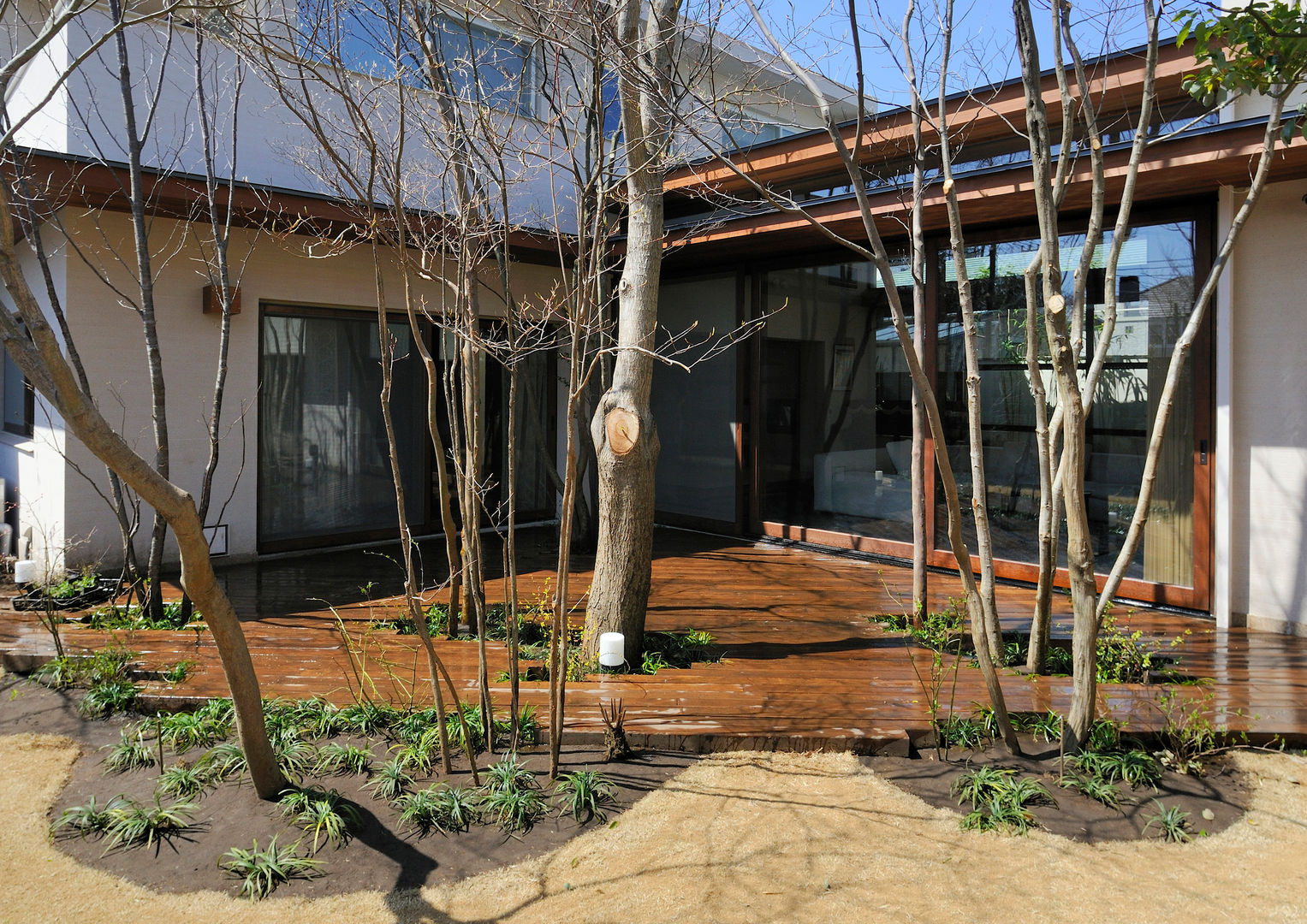 用賀の住宅, 井上洋介建築研究所 井上洋介建築研究所 Giardino in stile asiatico