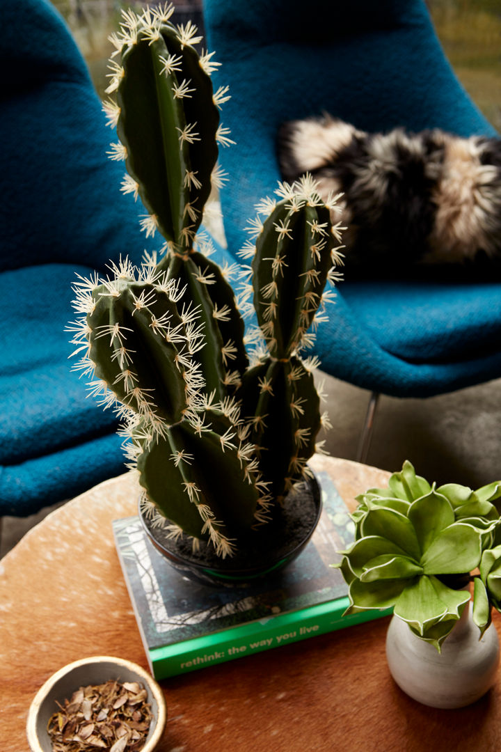 Sinai faux cactus Abigail Ahern Jardim interior Paisagismo de interior